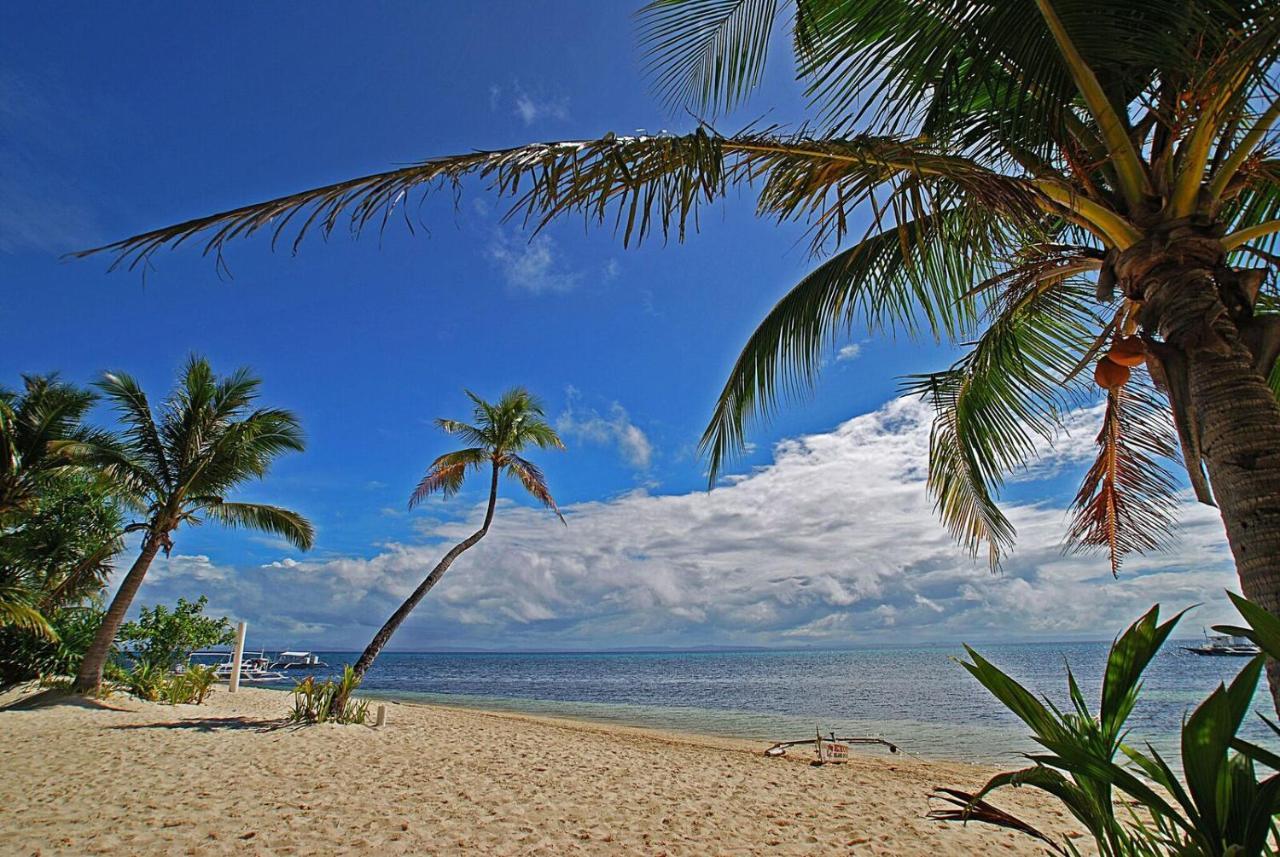 Malapascua Exotic Island Dive Resort Daanbantayan Екстериор снимка